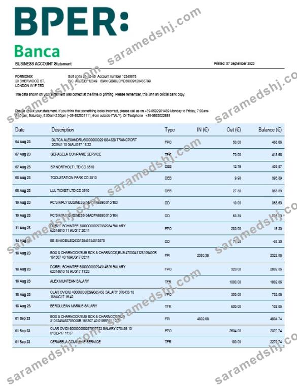 BPER Group organization statement Word and PDF template